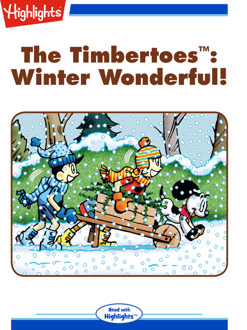 Title details for Winter Wonderful! by Rich Wallace - Available